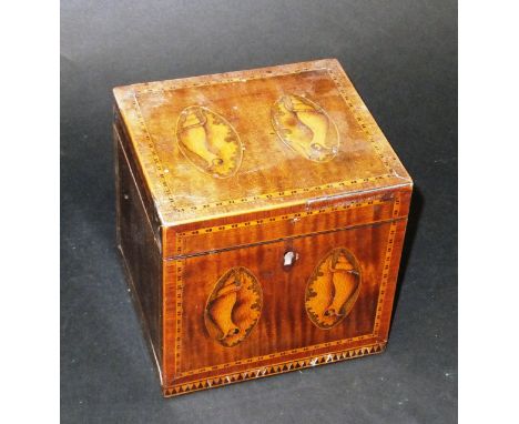 A Regency mahogany and inlaid single section tea caddy with shell marquetry inlaid medallion decoration, 12 cm x 12 cm