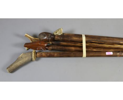 Five walking sticks to include two horn, two carved and a novelty skull example.