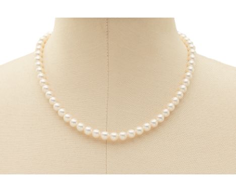 AN AKOYA SINGLE STRAND PEARL NECKLACE (APPROX. 62 PEARLS) Approx. 62 Akoya pearls measuring 6.8 to 7.2mm  With a white metal 
