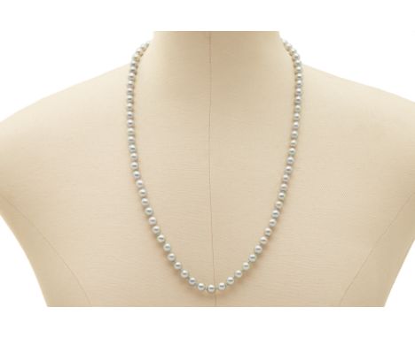 A GREY AKOYA PEARL NECKLACE (APPROX. 79 PEARLS) Approx 79 Akoya pearls measuring 7mm  With a white metal clasp marked 14k 60c