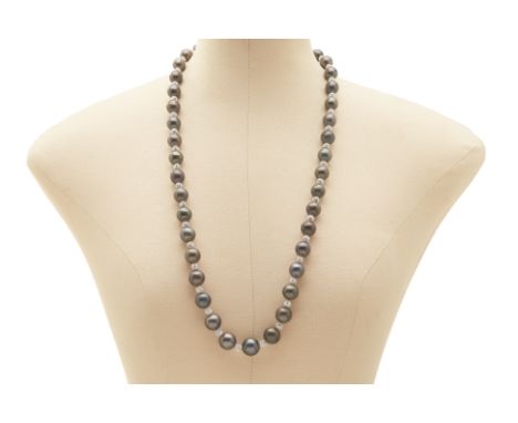 A TAHITIAN PEARL NECKLACE (APPROX. 41 PEARLS) Approx. 41 grey Tahitian pearls measuring 11.5 to 14mm  The silver clasp marked