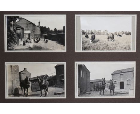 PHOTOGRAPHS, RURAL LIFE. Two albums containing approximately 173 postcards and post-card size photographs of the Hayes and Mc