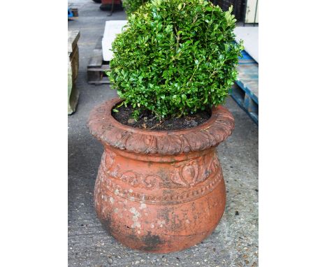 A pair of terracotta planters of circular bulbous form with oak leaf moulded rims, each 45cm wide x 43cm high, together with 