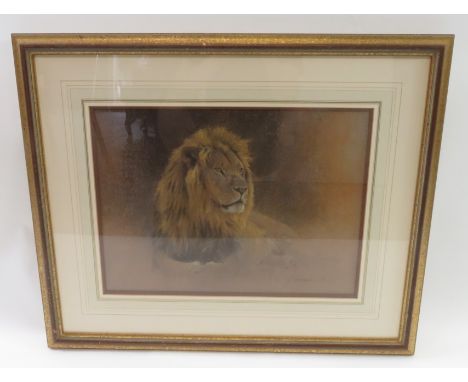 DONALDSON(?), 20TH CENTURY, PORTRAIT OF A LION, CHALK, SIGNED, LABEL FOR HALCYON GALLERY, BIRMINGHAM VERSO, 33CM X 45CM