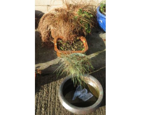 4 GARDEN POTS, 1 METAL &amp; 1 TROUGH STYLE WITH PLANTS