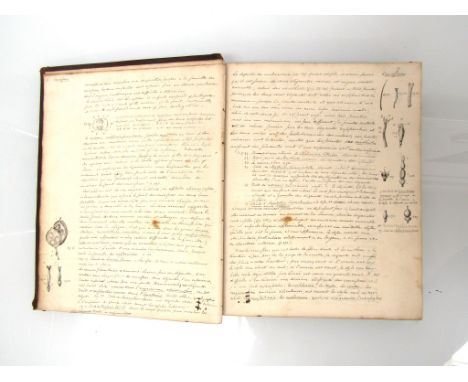 A circa mid 19th Century manuscript book containing a large volume of manuscript Natural History and fishing/fisheries extrac