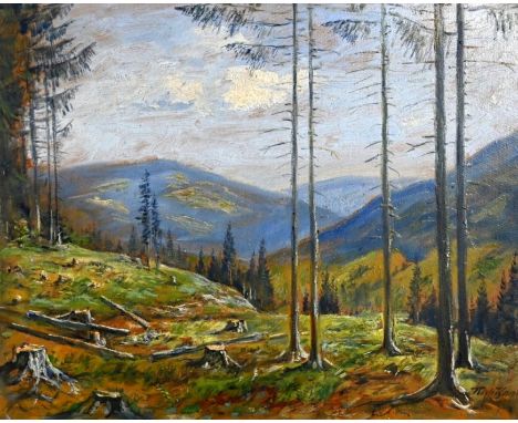 KANT  Richard (Breslauer Maler 1. Hälfte 20. Jh.) "Waldlichtung" mit weitem Ausblick, links im Vordergrund einige Baumstümpfe