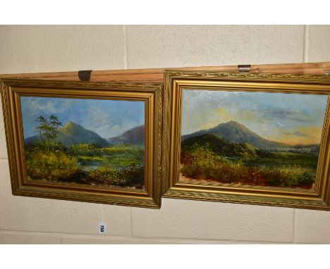 PAINTINGS AND PRINTS, ETC, to include 20th Century landscapes oil on canvas and board, one featuring a Pheasant signed J Grah