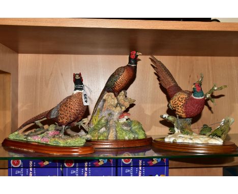TWO BORDER FINE ARTS PHEASANTS 'Pheasant (walking)' A1475, modelled by Russell Willis and 'Woodland Majesty' (Cock Pheasant) 