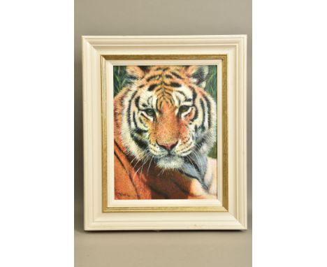 TONY FORREST (BRITISH 1961) 'WILD THING' a limited edition print of a Tiger 8/195, signed bottom left with certificate, appro