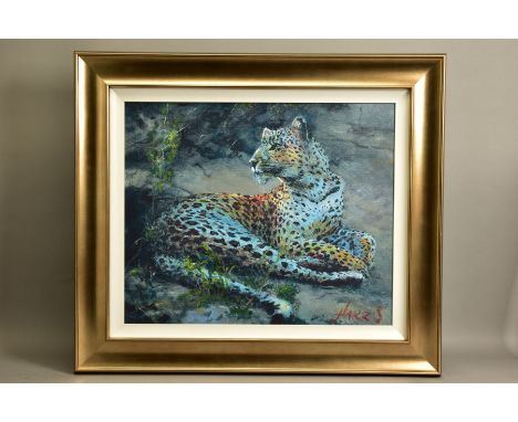 ROLF HARRIS (AUSTRALIAN 1930) 'LEOPARD RECLINING AT DUSK' a limited edition print 167/195, approximate sizes - image 50cm x 6