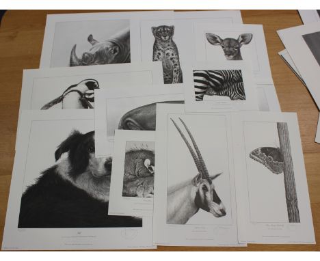 Gary Hodges - 'Jaff' (Study of a Collie Dog), 20th century monochrome print, signed and editioned 428/850 in pencil, sheet si