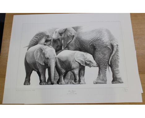 Gary Hodges - 'African Elephants', 20th century monochrome print, signed and editioned 830/850 in pencil, sheet size 58cm x 7