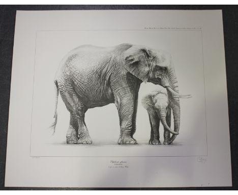 Gary Hodges - 'Elephants Africains', 20th century monochrome print, signed and editioned 639/850 in pencil, sheet size 56cm x