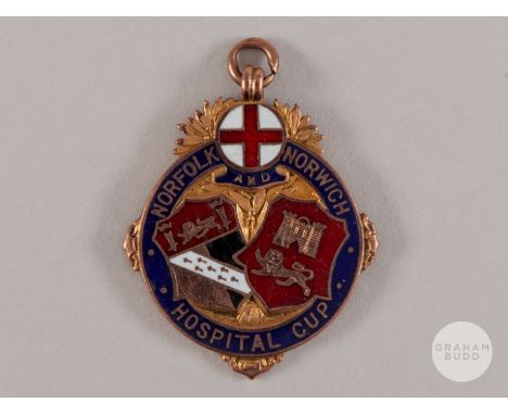 Reginald Wilkinson 9ct gold and enamel Norfolk and Norwich Hospital Cup medal, 1919-20, the obverse inscribed NORFOLK AND NOR