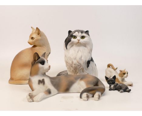 A collection of Wade Ceramic Northlight Figures of Cats &amp; Kittens , tallest 12cm. These were removed from the archives of