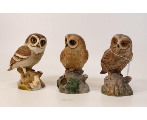 A collection of Wade Ceramic Northlight Figures of Owls, tallest 14cm. These were removed from the archives of the Wade facto