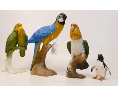 A collection of Wade Ceramic Northlight Figures of Parrots &amp; Penguin, tallest 23cm. These were removed from the archives 