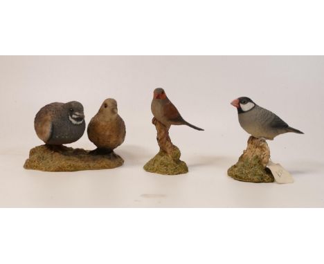 A collection of Wade Ceramic Northlight Figures of Wild Birds, tallest 10.5cmcm. These were removed from the archives of the 