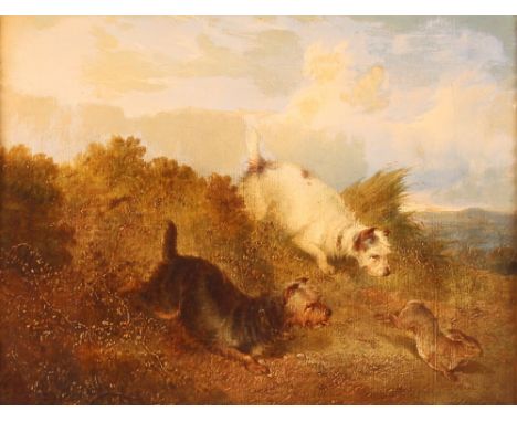 After George Armfield, a pair of studies depicting terriers hunting, unsigned oils on canvas, 19.5cm x 24.5cm