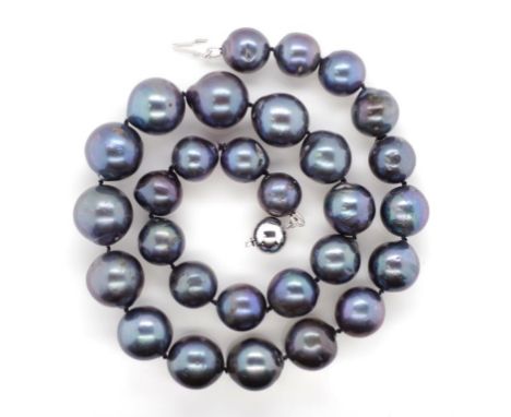 Cultured black pearl necklace with a 9ct white gold ball clasp. Approx pearl size 11.6mm - 15.3mm, 45cm length
