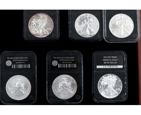 American Eagle one dollar proof 2008, two 2014, seven 2013 and one 2015, in presentation case. P&amp;P Group 0 (£5+VAT for th