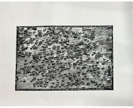 Peter Beard "African Elephants" Photo Print on Paper &lt;br&gt; Measures 20.00 X 30.00 Inches