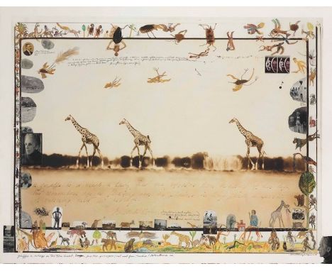 PETER BEARD (B. 1938) Girafes in Mirage on the Taru Desert, Kenya. Original Printing June 1960, The End of the Game, Last Wor