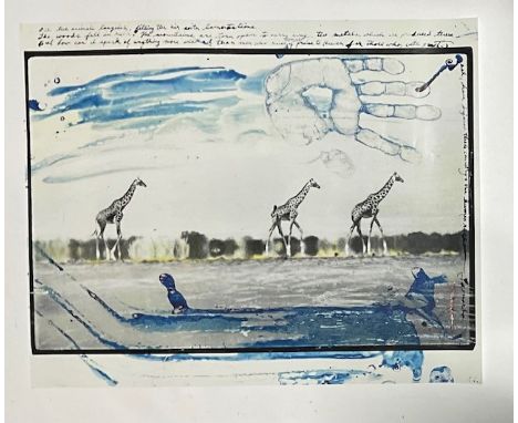 Peter Beard Giraffes in Desert Photo Print &lt;br&gt; Measures 24.00 X 30.00