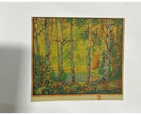 Gustave Baumann " Mountain Pool " Print Mounted to Arches Paper, &lt;br&gt; Measures 11.00 X 12.50 Inches