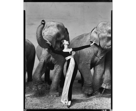 Richard Avedom (1923-2004) dovima with Elephants Evening Dress by Dior, Cirque d'Hiver, Paris  Photo print  Measures 46.0 X 3