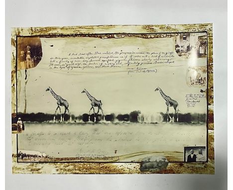 Peter Beard Giraffes in Mirage on the Taru Desert, Kenya.&nbsp; The End of the Game, Lasst Word from Paradise.&nbsp; Photo Pr