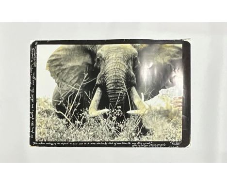 Peter Beard "African Elephant" Photo Print on Paper, &lt;br&gt; Measures 24.00 X 36.00