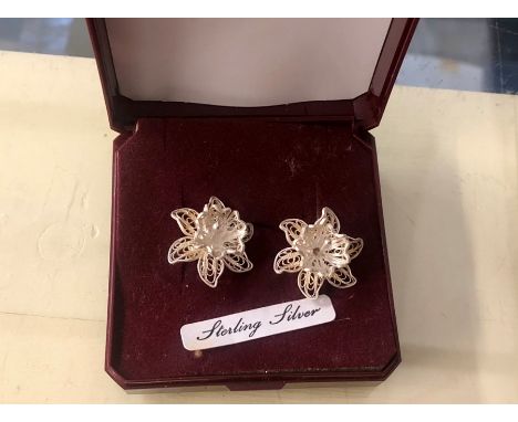 Silver Earrings