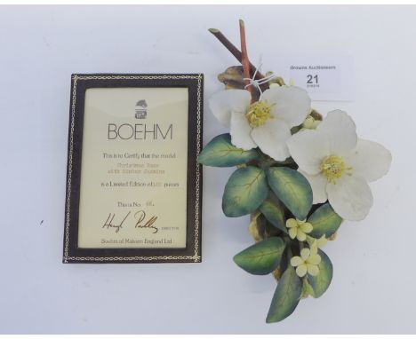 Boehm bisque pattern limited edition Christmas Rose with Winter Jasmine No. 66/100 complete with Asprey's box 