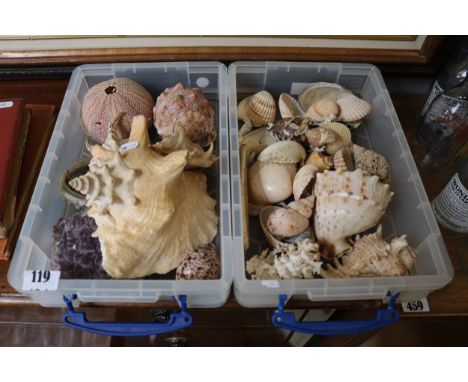 2 Tray of assorted Sea Shells and Amethyst Mineral 