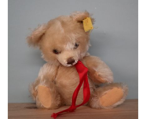 Small Steiff teddy bear 