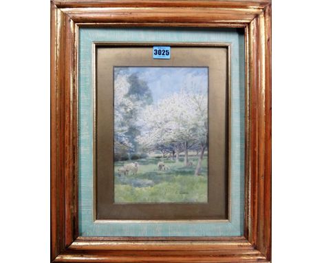 A group of five assorted pictures, including a watercolour of sheep in an orchard, signed A. Turner, two etchings by K. Verno