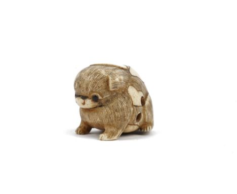 A Japanese ivory netsuke of a puppy, 19th/20th century, carved seated with inlaid eyes, signed, 3.5cm long.