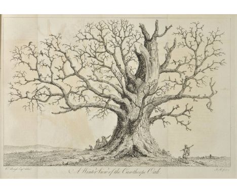 Evelyn (John). Silva: Or, a Discourse of Forest-Trees, and the Propagation of Timber in His Majesty's Dominions: As it was de