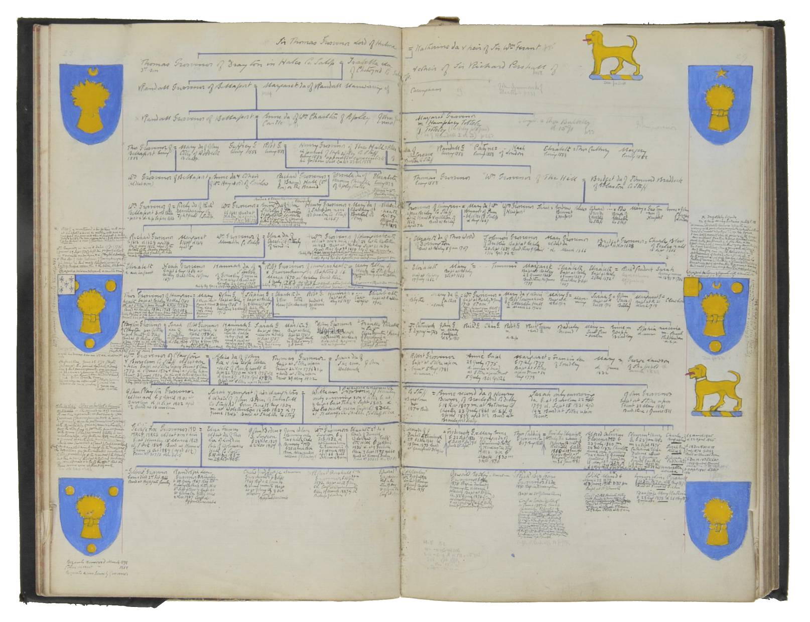 Grosvenor Family. A heraldic and genealogical manuscript of the ...