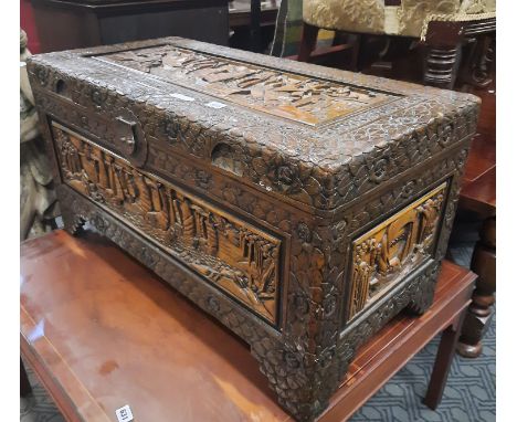 CAMPHOR WOOD TRUNK