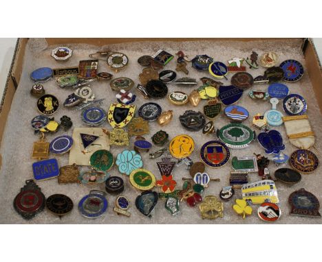A large collection of enamel badges 