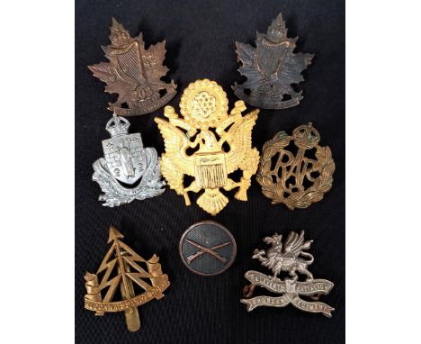 SELECTION OF EIGHT BADGEScomprising WWII US Officers cap badge, WWI 11th Battalion Border Regiment badge, WWII RAF cap badge,