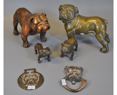 Collection of brass and copper finish bulldog studies, together with a bulldog door knocker and bulldog horse brass. (6)(B.P.