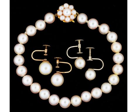 A CULTURED PEARL BRACELET, PEARLS APPROX 7.5MM, WITH PEARL SET 9CT GOLD CLASP AND TWO PAIRS OF CULTURED PEARL SCREWBACK EARRI