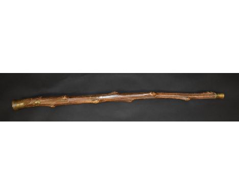 An unusual 19th century cabbage stalk snuff box walking stick, the domed pommel with hinged cover, wrist strap eyelet, 101cm 