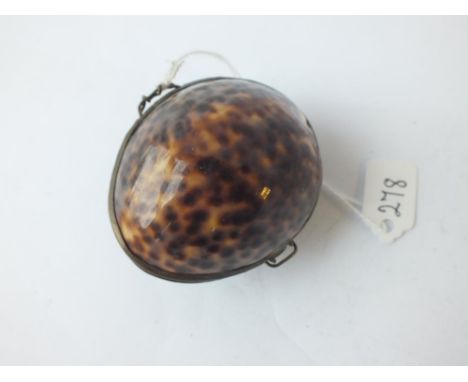 A Cowrie shell trinket box