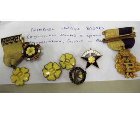Quantity of Primrose league, enamel decorated medals and badges 