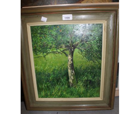 Gregory Davies, oil on board, titled ' Appletree in Sunlight ', signed and dated 1980, bearing label verso, with purchase rec